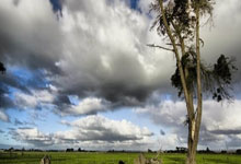 J9九游会官网:27岁特奥将为法国队出战达37场,追平29岁哥哥卢卡斯的纪录.